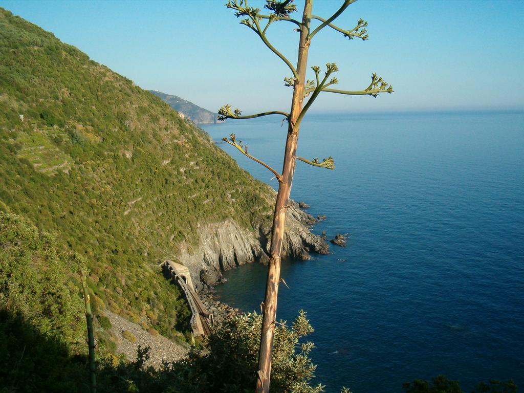 Villa Delle Ciliegie Deiva Marina Buitenkant foto